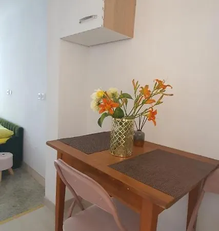 Apartma Jasna アパート *